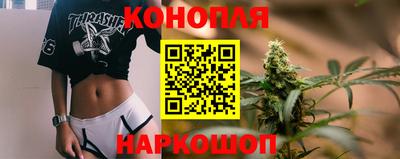 стаф Кунгур