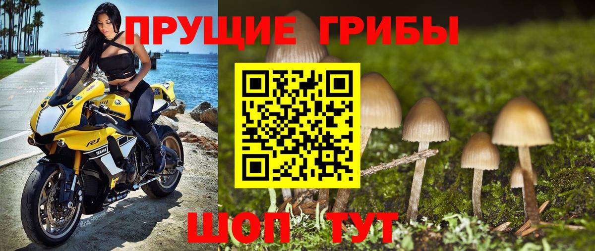 Галлюциногенные грибы мухоморы  Вход с VPN  Псилоцибиновые грибы мухоморы  Холмск 