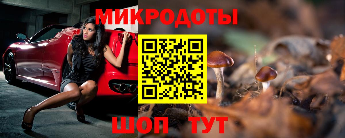 Псилоцибиновые грибы прущие грибы Холмск